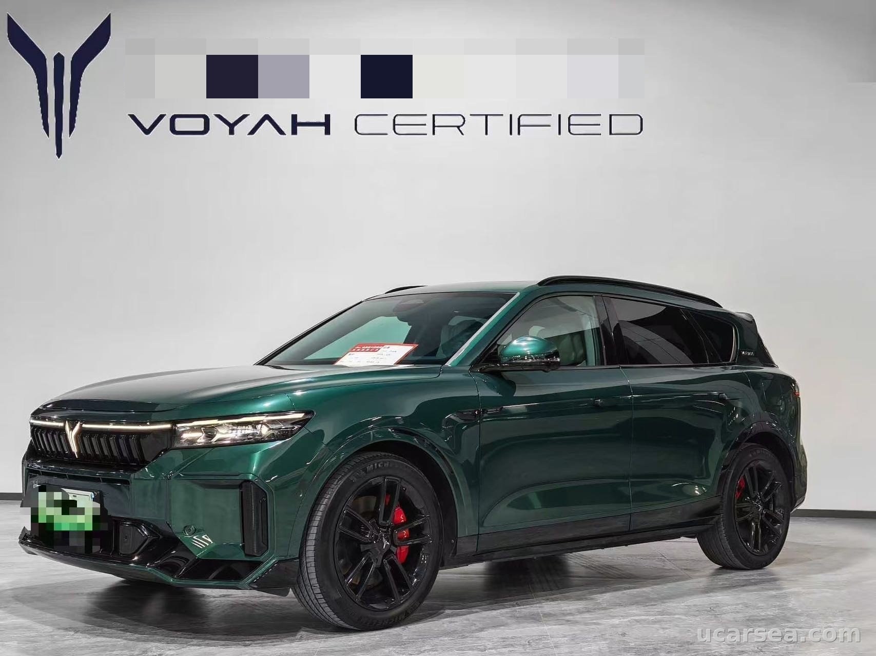 2025 Voyah FREE 2025 318 318km
