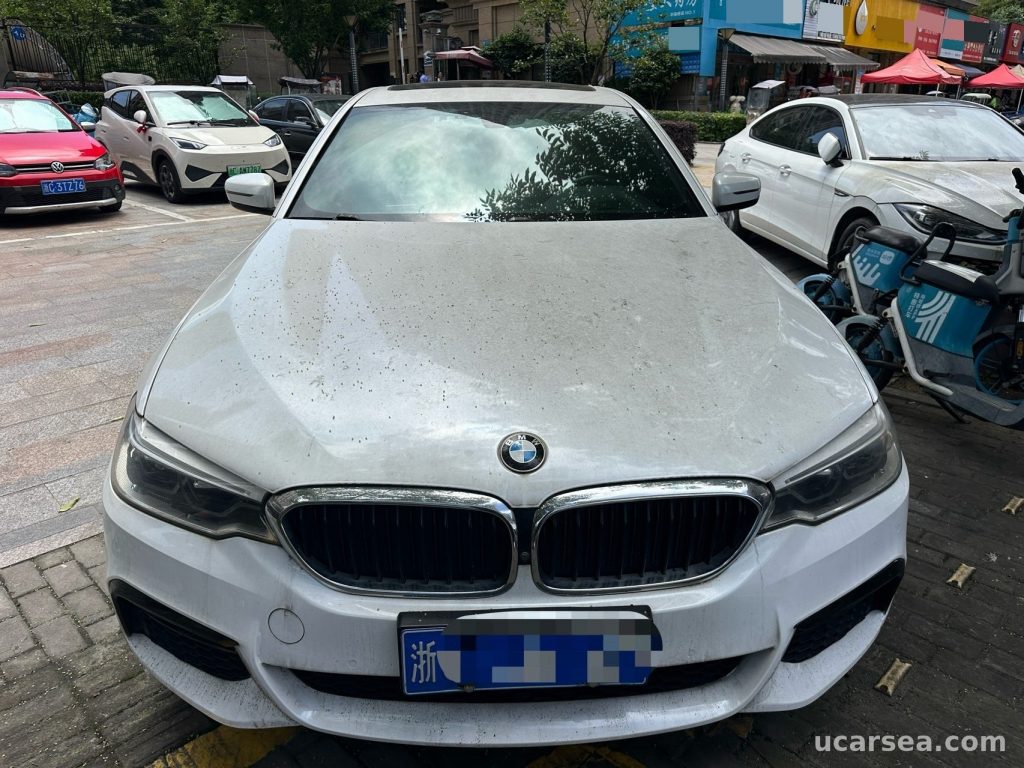 BMW 5 Series 2020 530Li M photo 1