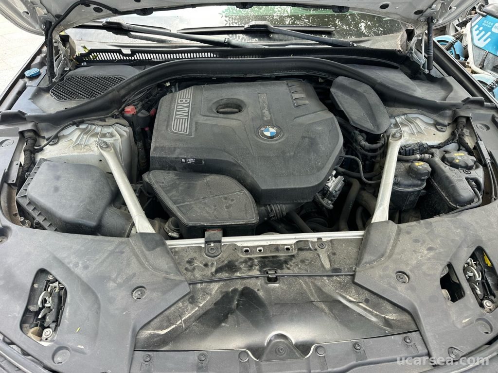 BMW 5 Series 2020 530Li M photo 3