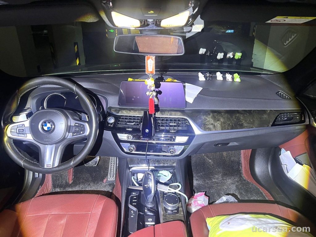 BMW 5 Series 2019 530Li 2.0T M photo 5