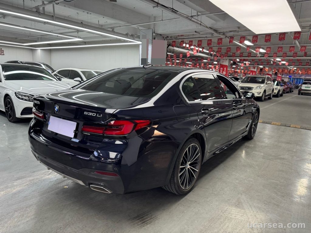 BMW 5 2021 530Li Lead M photo 4