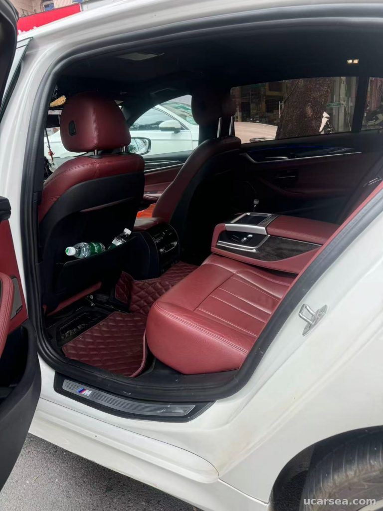 BMW 5 Series 2020 530Li M photo 3