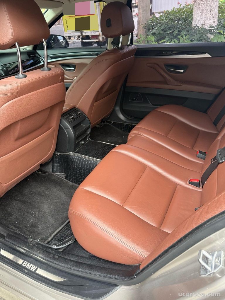 BMW 5 2017 520Li photo 3