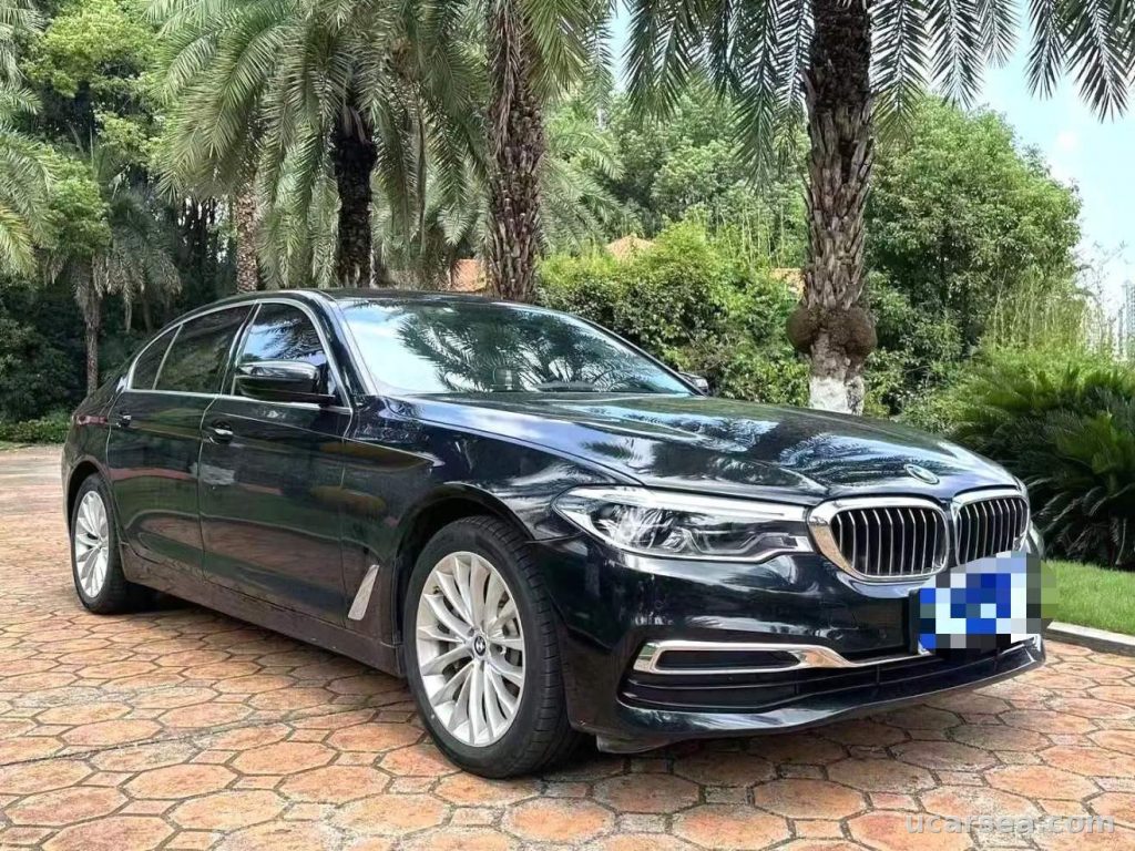 BMW 5 2020 530Li xDrive photo 3
