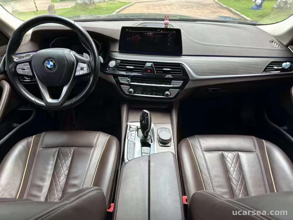 BMW 5 2020 530Li xDrive photo 1
