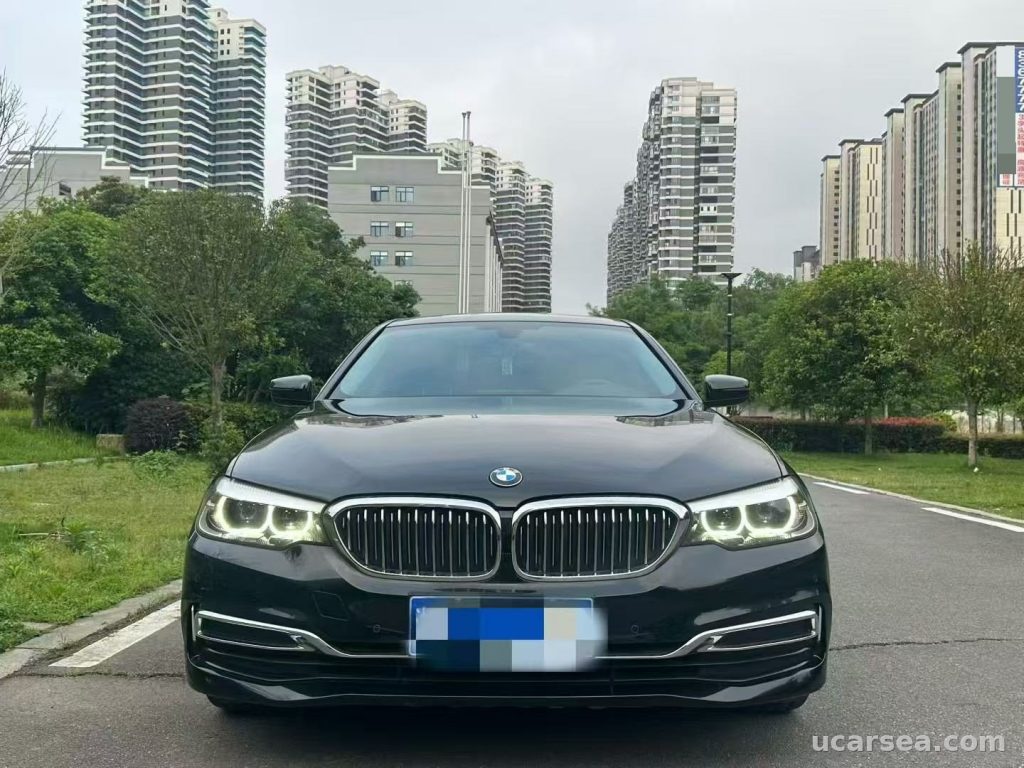 BMW 5 Series 2019 530Li photo 1