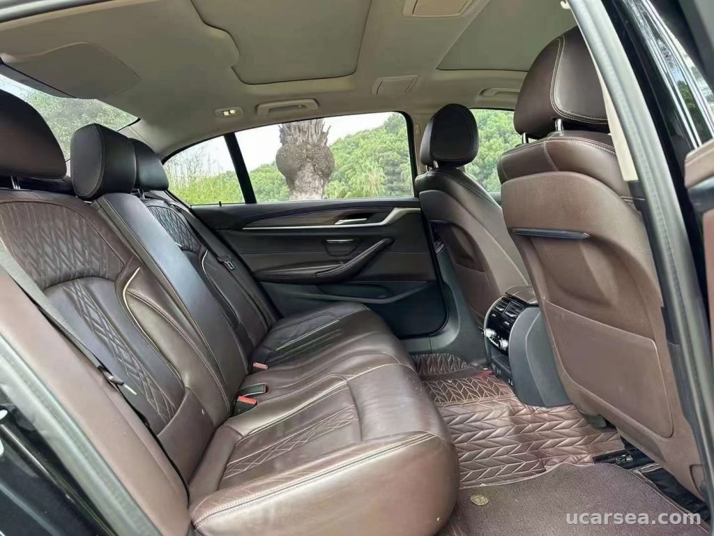 BMW 5 2020 530Li xDrive photo 2