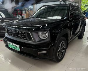 2023 Haval Dargo