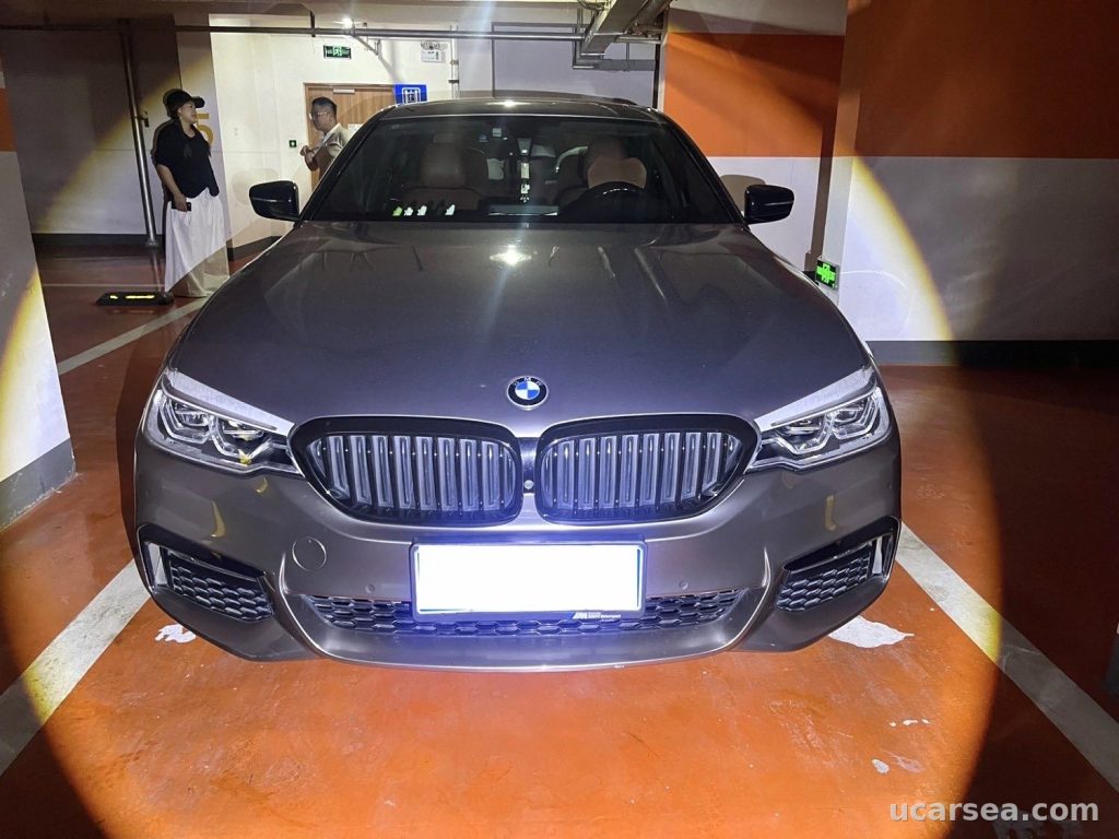 BMW 5 2019 530Li M photo 1