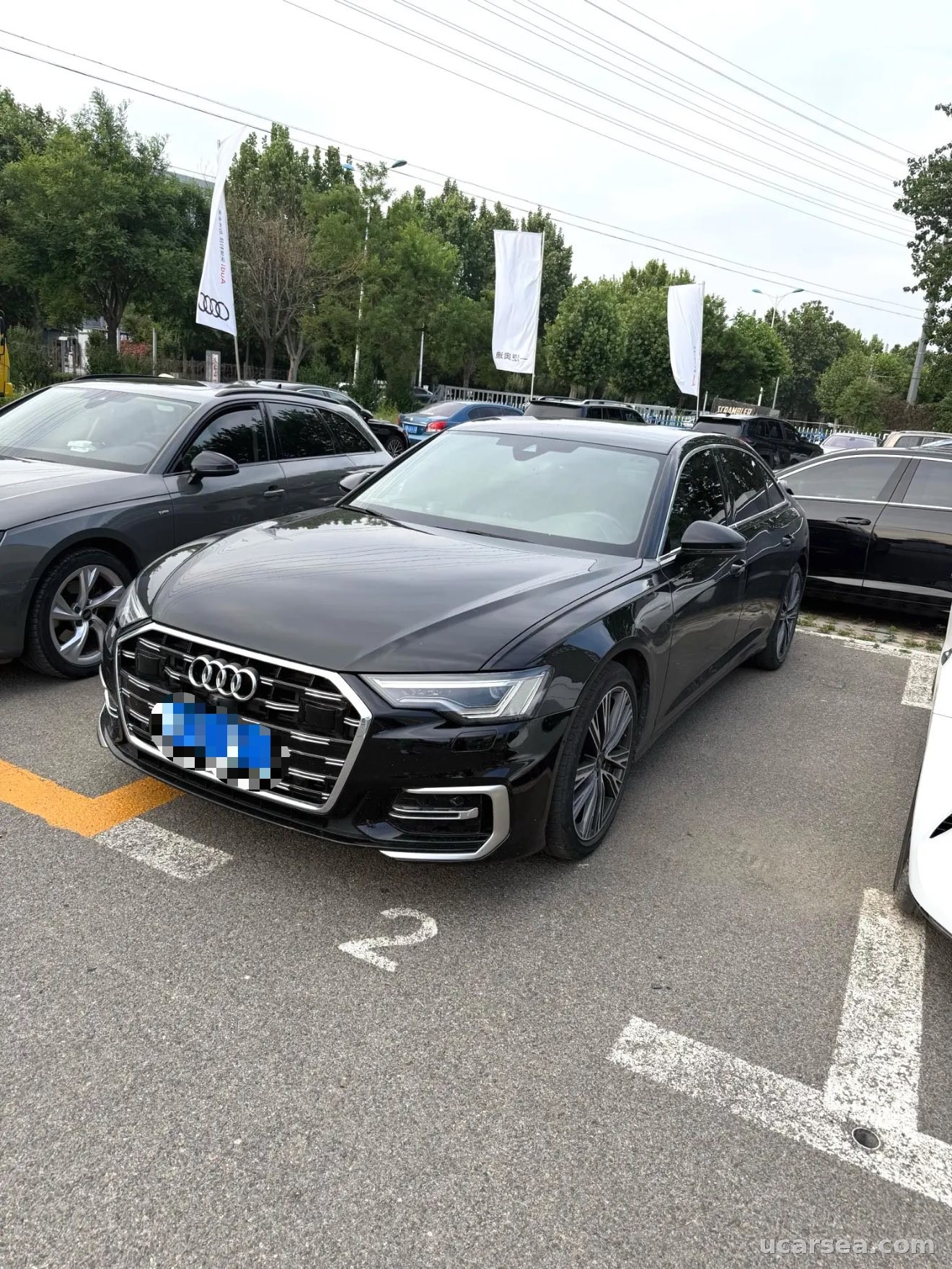 2024 奥迪 A6L 2024款 48V 3.0TFSI 55TFSI Qutro 尊享动感型