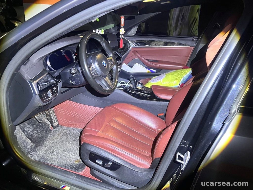 BMW 5 2019 530Li M photo 8
