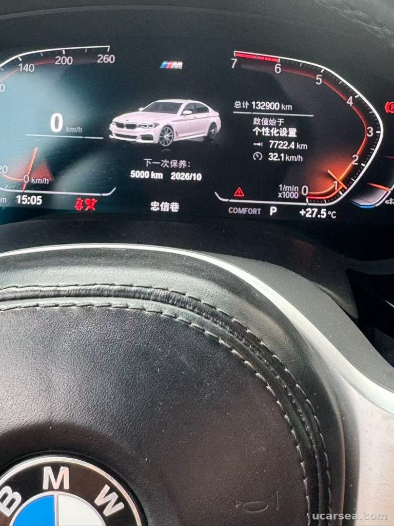 BMW 5 Series 2020 530Li M photo 4