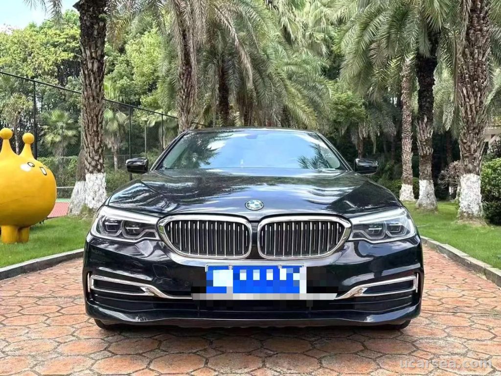 BMW 5 2020 530Li xDrive photo 4
