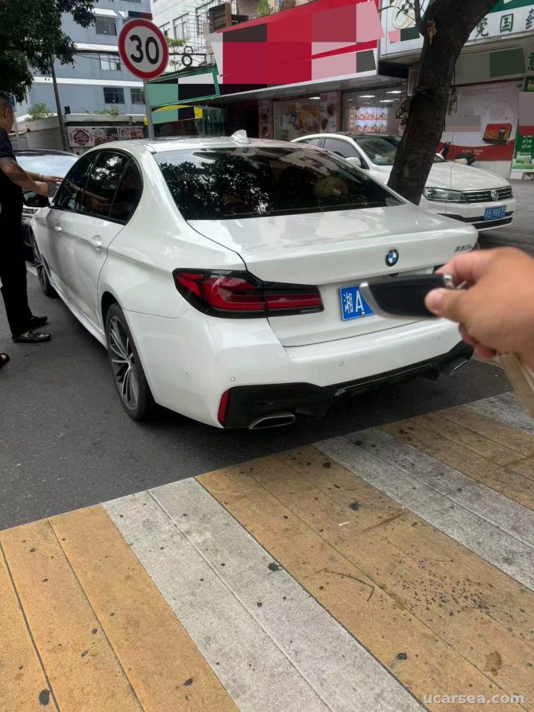 BMW 5 Series 2020 530Li M photo 1