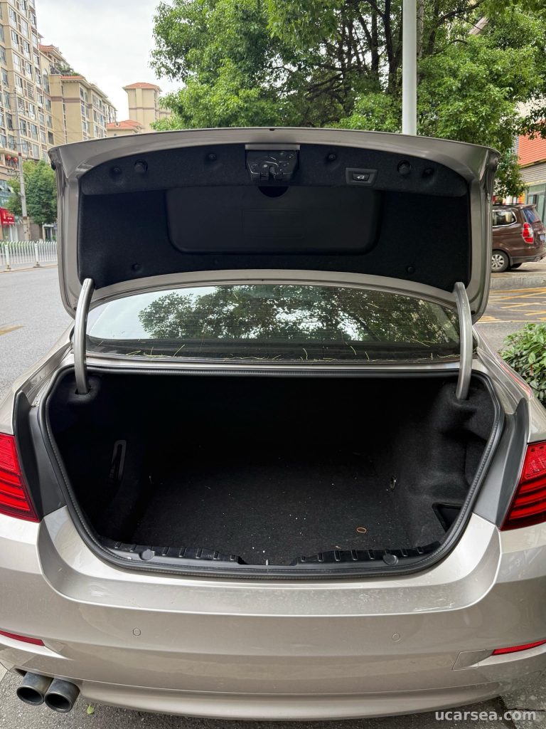 BMW 5 2017 520Li photo 6