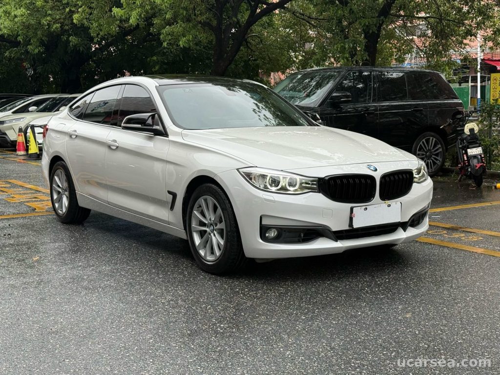 BMW 3 SeriesGT 2013 GT 320i photo 11