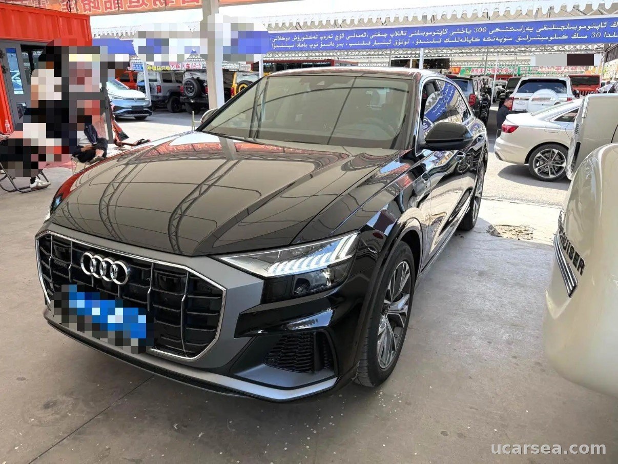 2023 奥迪 Q8(进口) 2023款 48V 3.0TFSI 55TFSI 豪华动感型