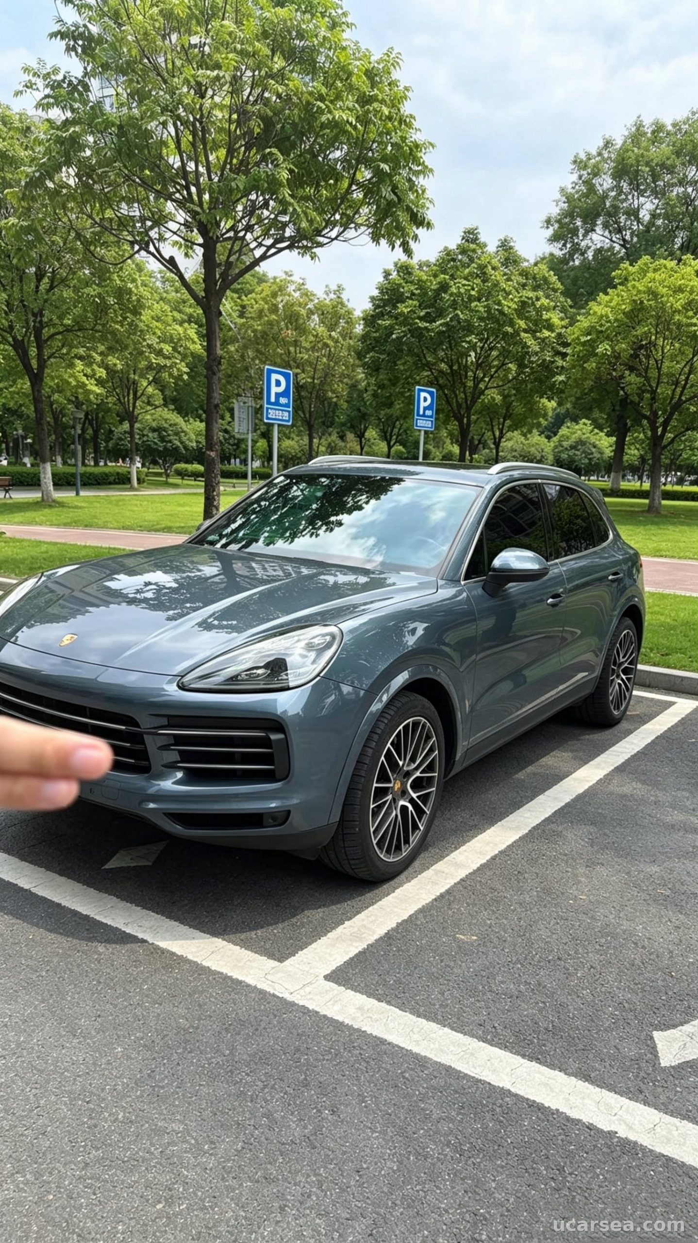2019 Porsche Cayenne 2019