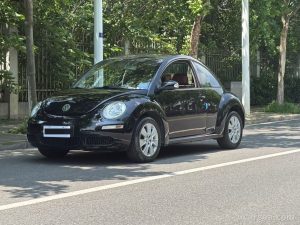 2010 Volkswagen Beetle