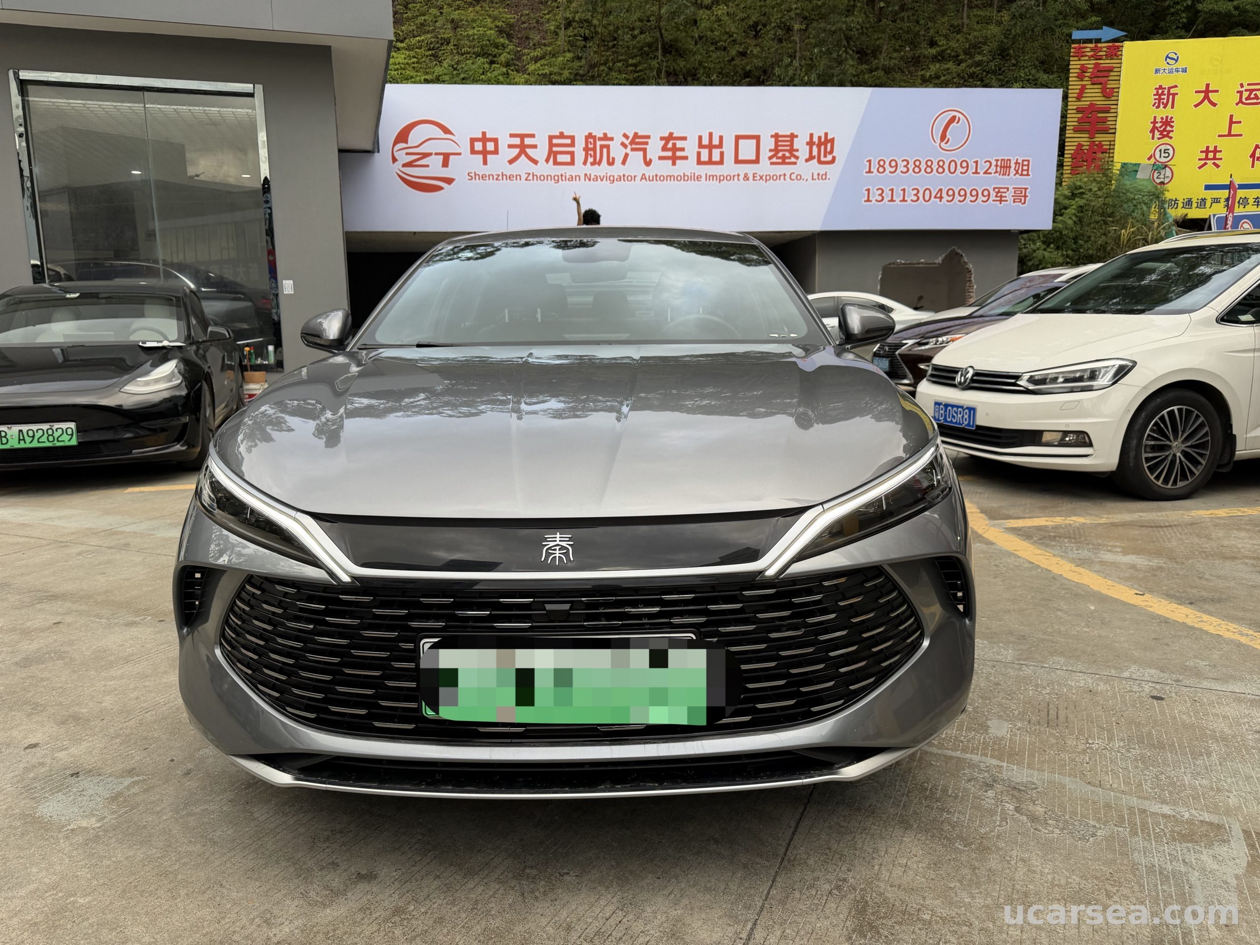 2024 比亚迪 秦 PLUS Qin 2024款 秦LDM-i80KM领先型