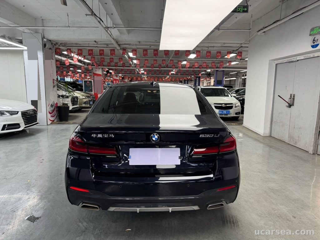 BMW 5 2021 530Li Lead M photo 6