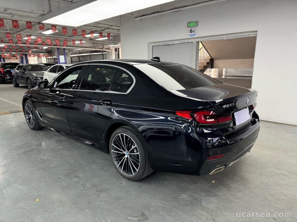 BMW 5 2021 530Li Lead M photo 5