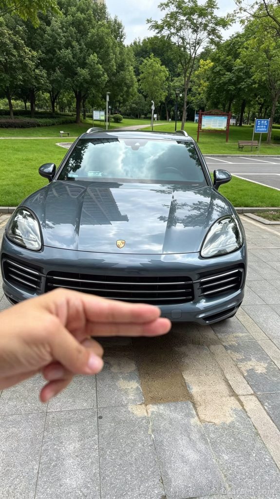 Porsche Cayenne 2019 photo 1