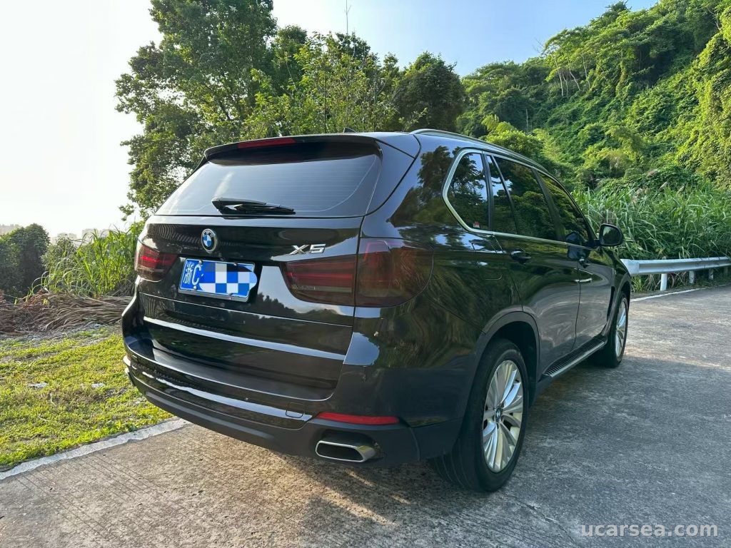 宝马 X5(进口) 2014款 xDrive35i 领先型 实拍图 5