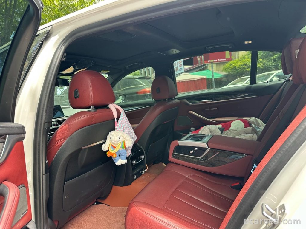 BMW 5 Series 2020 530Li M photo 4