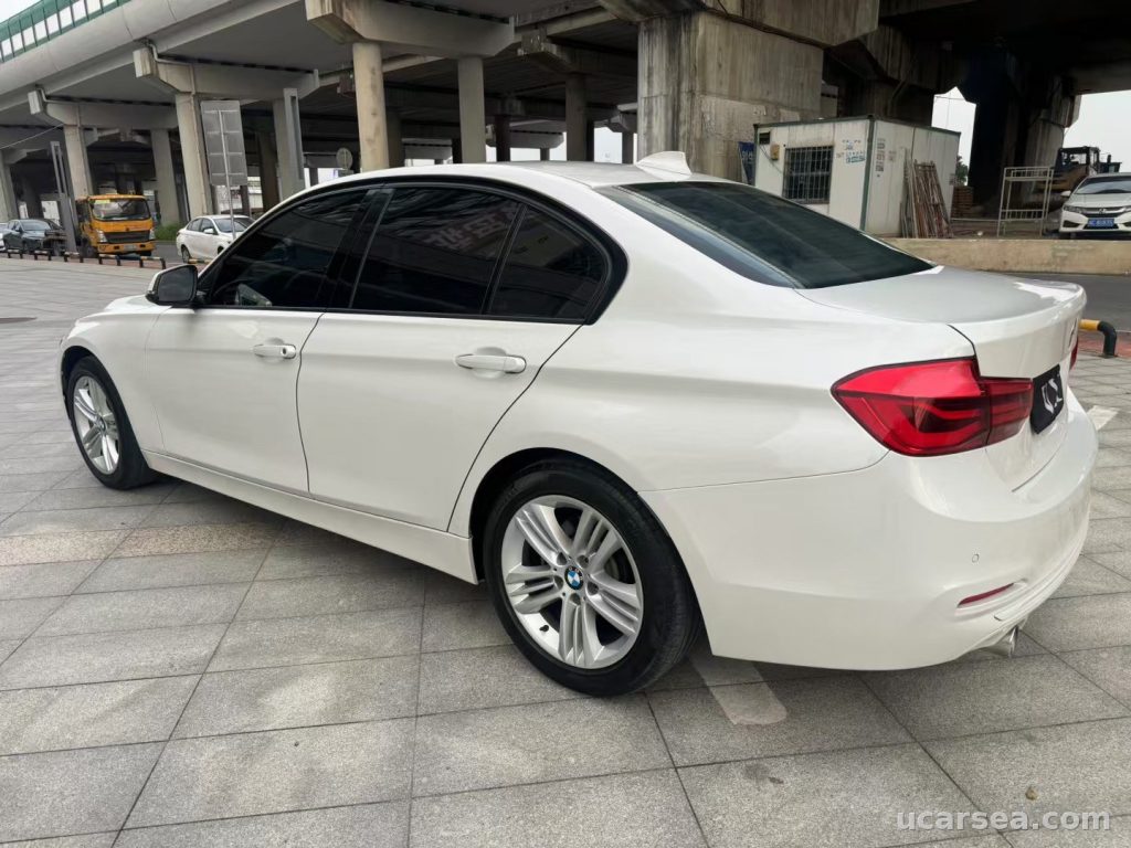 BMW 3 Series 2017 318i 1.5T photo 6