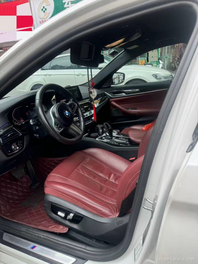 BMW 5 Series 2020 530Li M photo 2