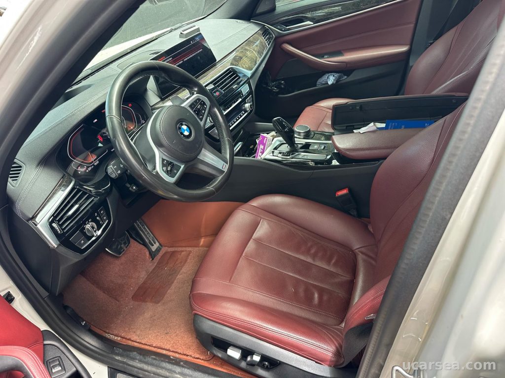 BMW 5 Series 2020 530Li M photo 8