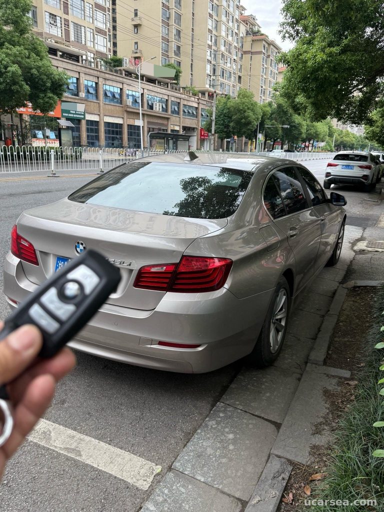 BMW 5 2017 520Li photo 9