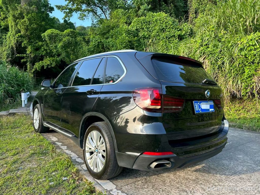 宝马 X5(进口) 2014款 xDrive35i 领先型 实拍图 7
