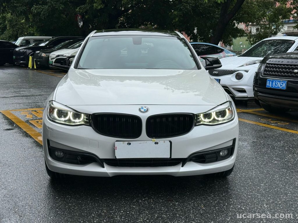 BMW 3 SeriesGT 2013 GT 320i photo 4