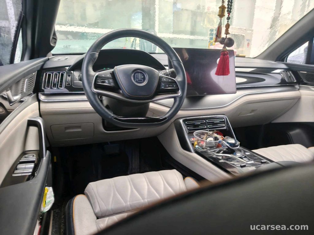 奇瑞 瑞虎8 2019款 1.6TGDI 290TGDI 尊贵型 实拍图 6