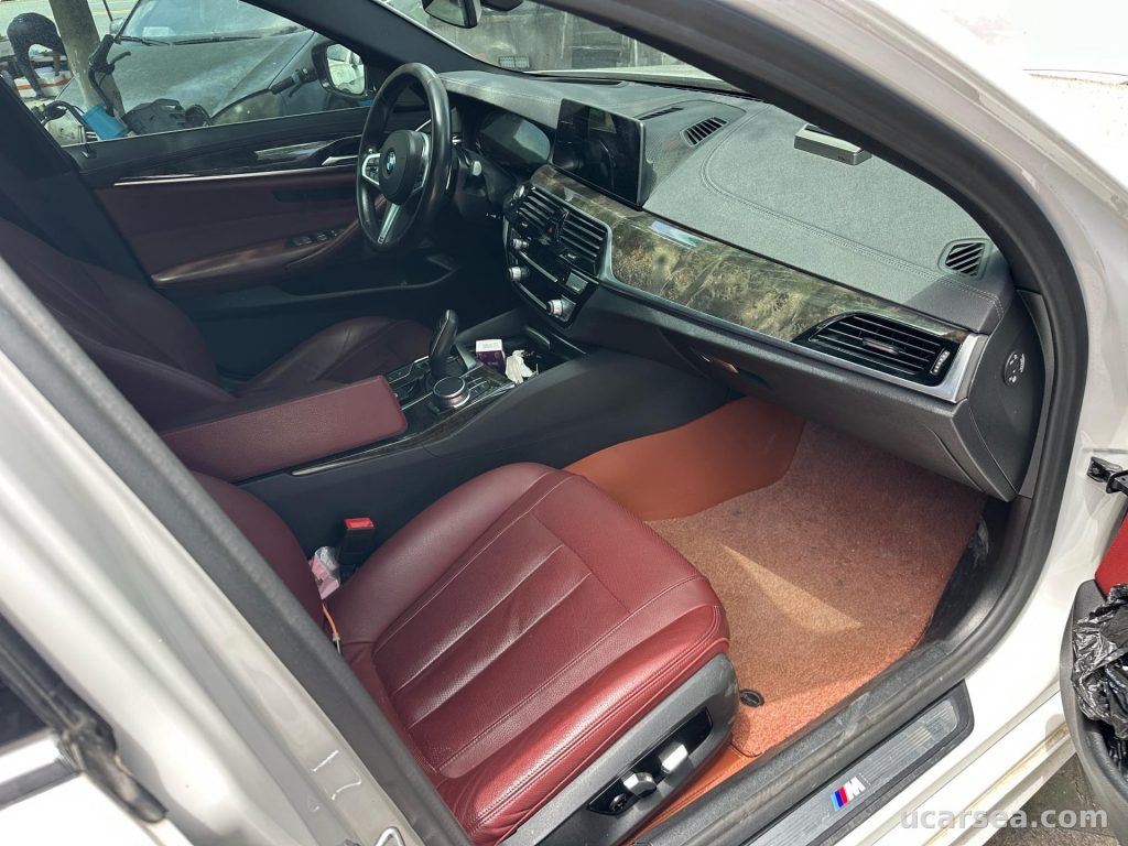 BMW 5 Series 2020 530Li M photo 6