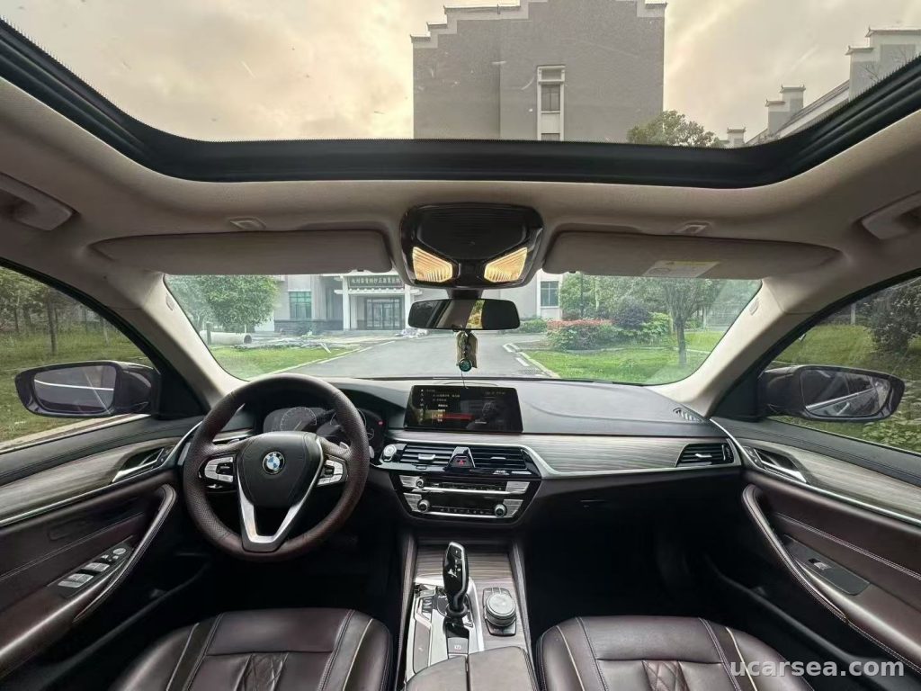 BMW 5 Series 2019 530Li photo 3
