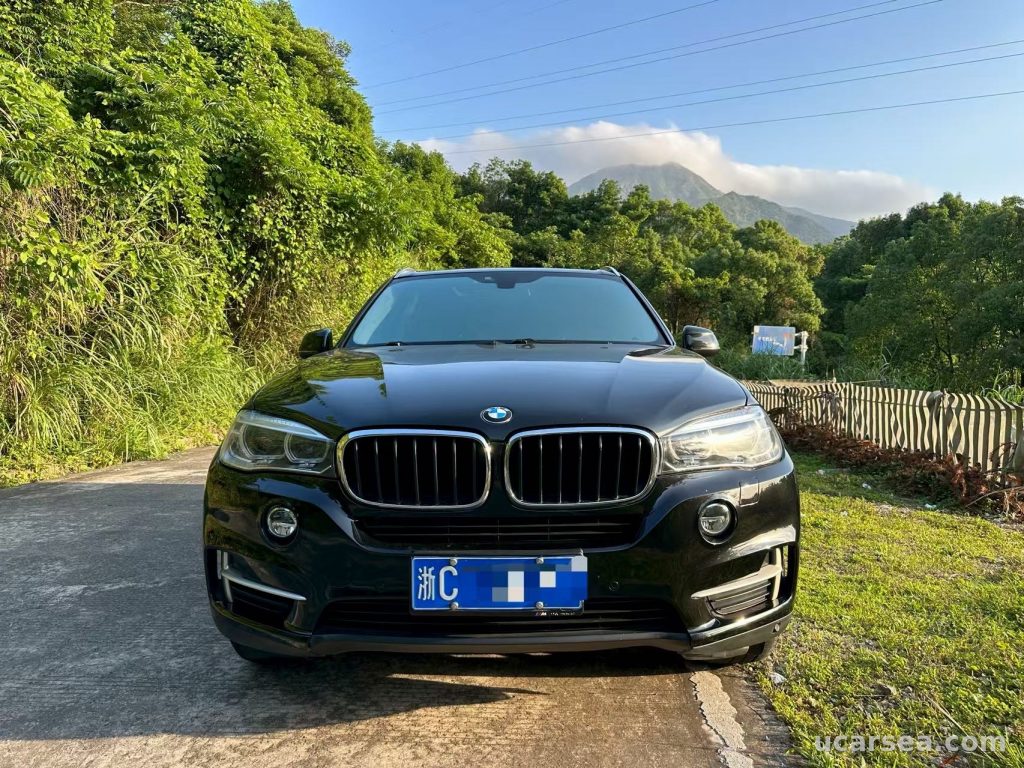 宝马 X5(进口) 2014款 xDrive35i 领先型 实拍图 1