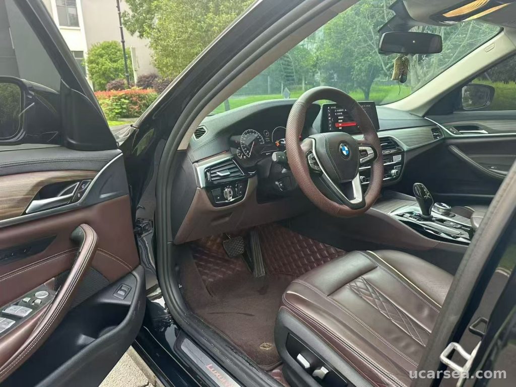 BMW 5 Series 2019 530Li photo 4