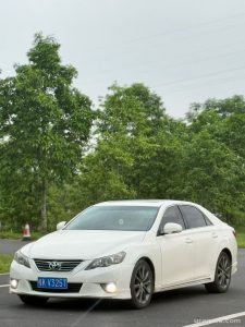 2010 Toyota Reiz