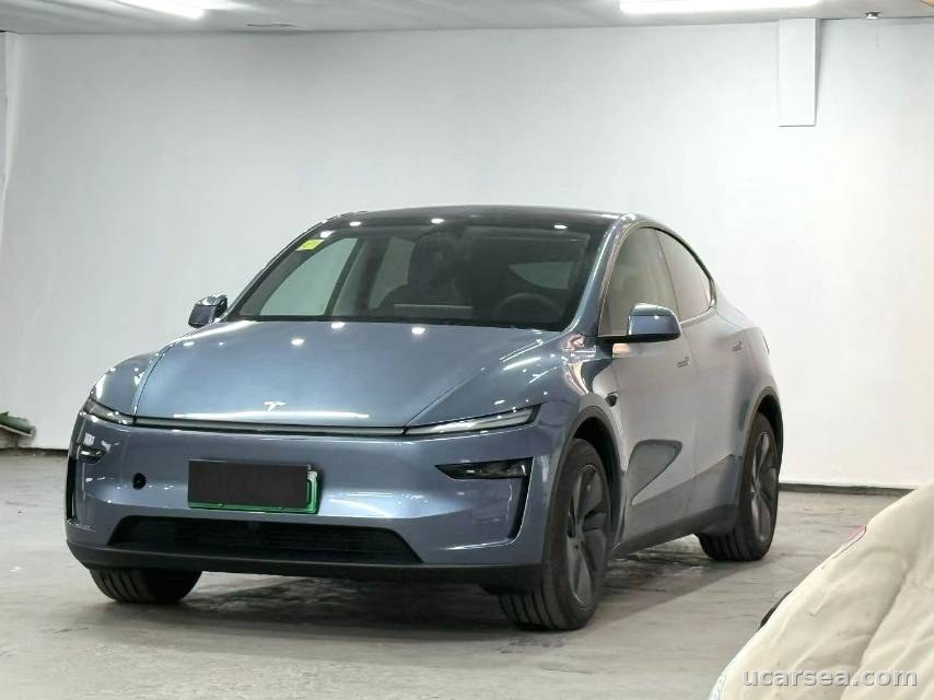 2025 Tesla Model Y 2025
