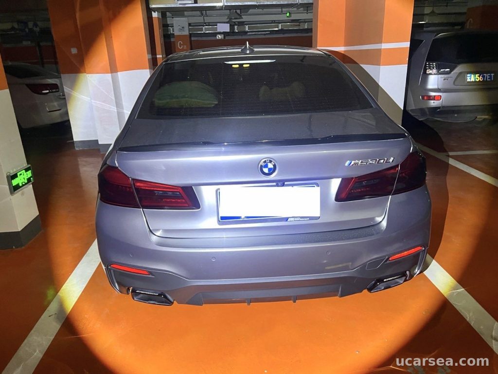 BMW 5 2019 530Li M photo 3
