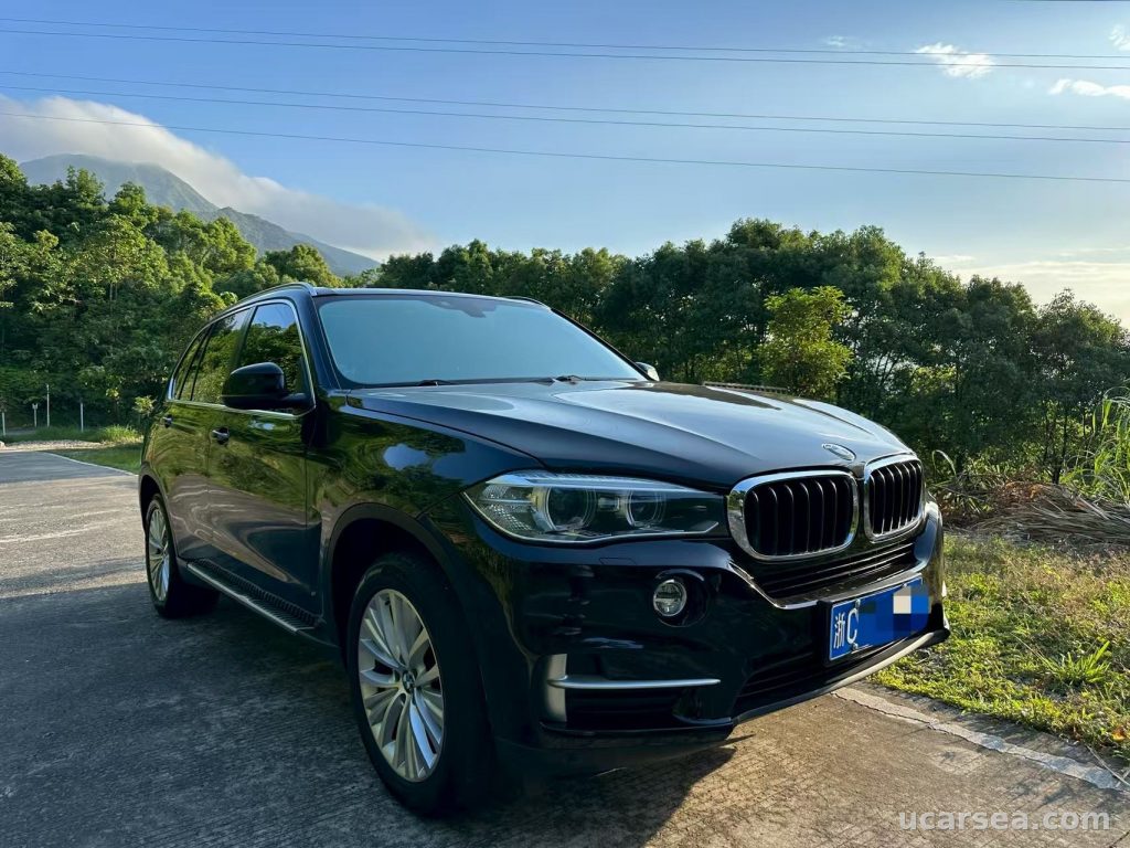宝马 X5(进口) 2014款 xDrive35i 领先型 实拍图 2