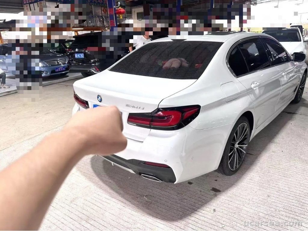 BMW 5 Series 2022 530Li xDrive M photo 3