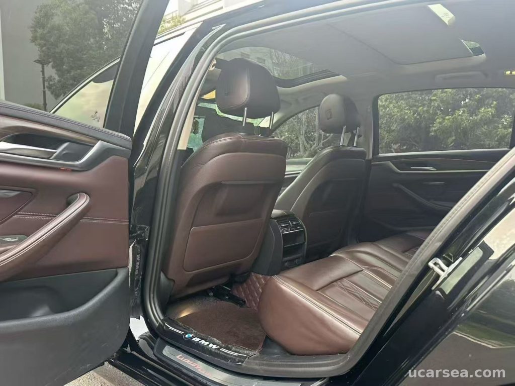 BMW 5 Series 2019 530Li photo 2