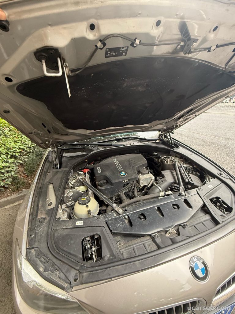 BMW 5 2017 520Li photo 7