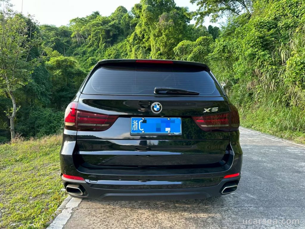 宝马 X5(进口) 2014款 xDrive35i 领先型 实拍图 6