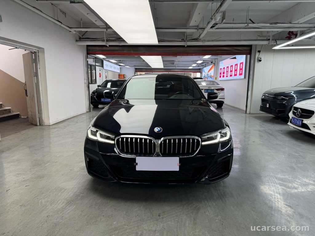 BMW 5 2021 530Li Lead M photo 1