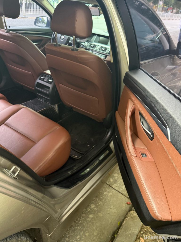 BMW 5 2017 520Li photo 5